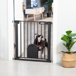 Pressure fit hot sale dog gate